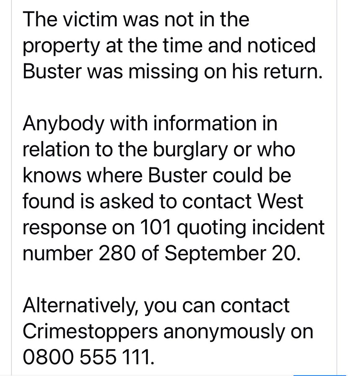 SAMPAuk_'s tweet image. #Puppy BUSTER #stolen Saturday 20 September 2025 from Clavering Place in #AnnfieldPlain #Stanley  #Durham #DH9. If you know anything call Police on 101 reference 208 of Sept 20 or call Crime Stoppers anonymously 0800555111 

facebook.com/share/p/1AHgyp…

#PetAbduction #PetTheftReform