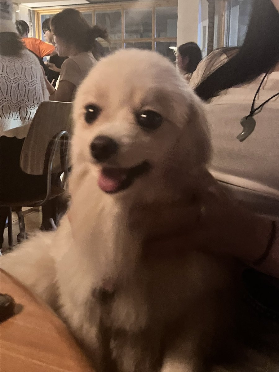 같이 합시다. 물개 검사하고 오거라