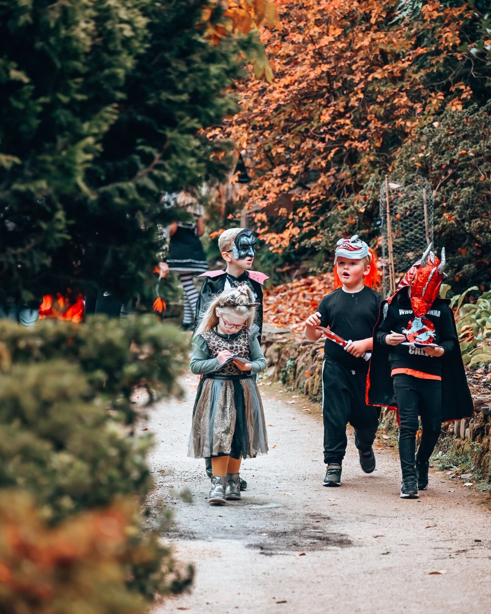 Don’t miss out! Pre-book your trail tickets for a hauntingly good adventure and family fun this Half-Term! 🌌🎃 leonardsleegardens.co.uk/all-events/leo…