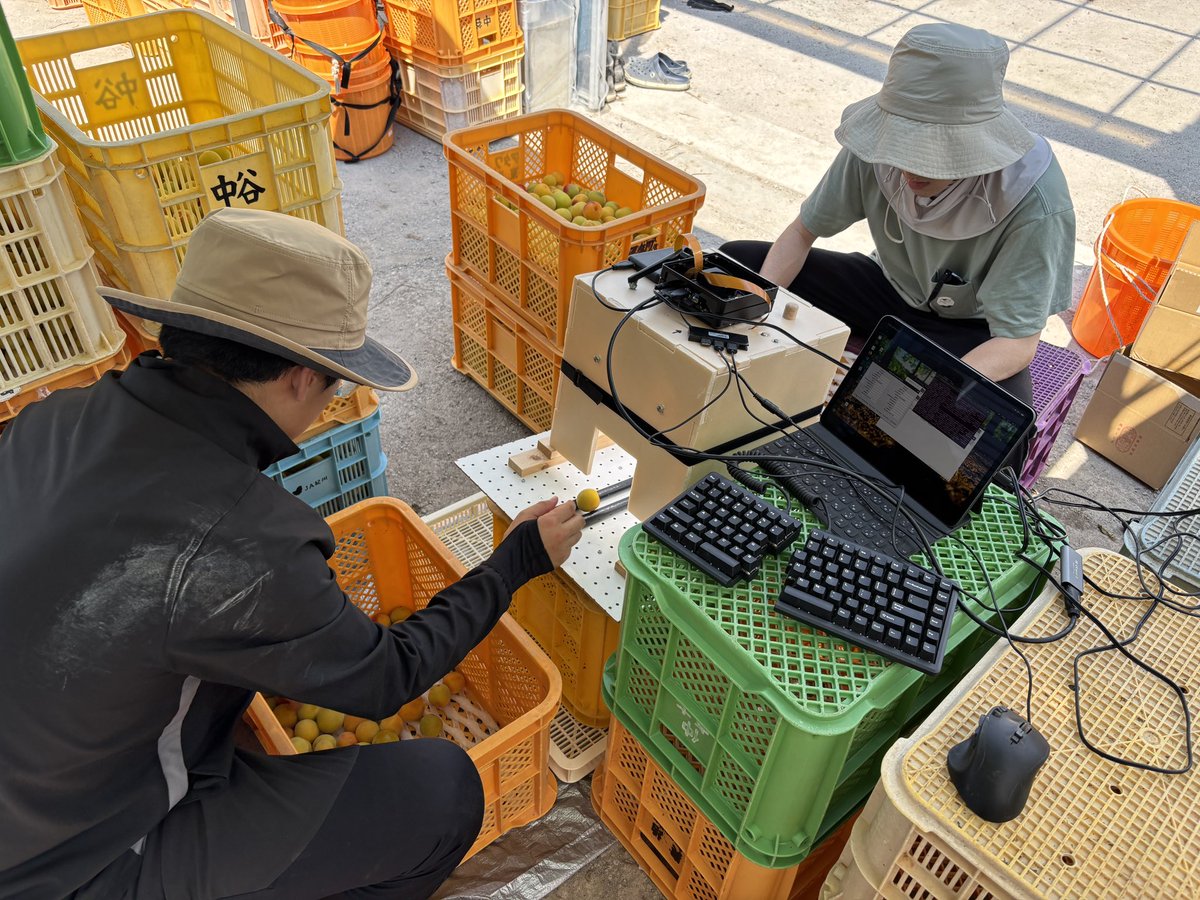 人手が足らないなら外国から入れたらいい。

そんな目先の考え方は、日本の農業衰退を先延ばしにするだけ。

僕たちは、技術開発を選びます。
自動選別機を2000万円かけて作っています。

所得を増やして、日本の若者が農業を選んでもらえるように。生産者として本気で農業を変えるための選択です。