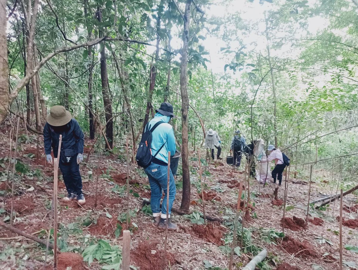 กกล.ผาเมือง จัดกำลังพล ร่วมกิจกรรมโครงการปลูกป่าบ้านนาหนุน ในพื้นที่ อ.ภูซาง จว.พ.ย.
*****************************
อ่านต่อได้ที่>>facebook.com/share/p/1a3ENo…
#ทหารมีไว้เพื่อปกป้องอธิปไตย
#ไทยนี้รักสงบแต่ถึงรบไม่ขลาด
#กองกำลังผาเมือง
#กองทัพภาคที่3
#กองทัพบก