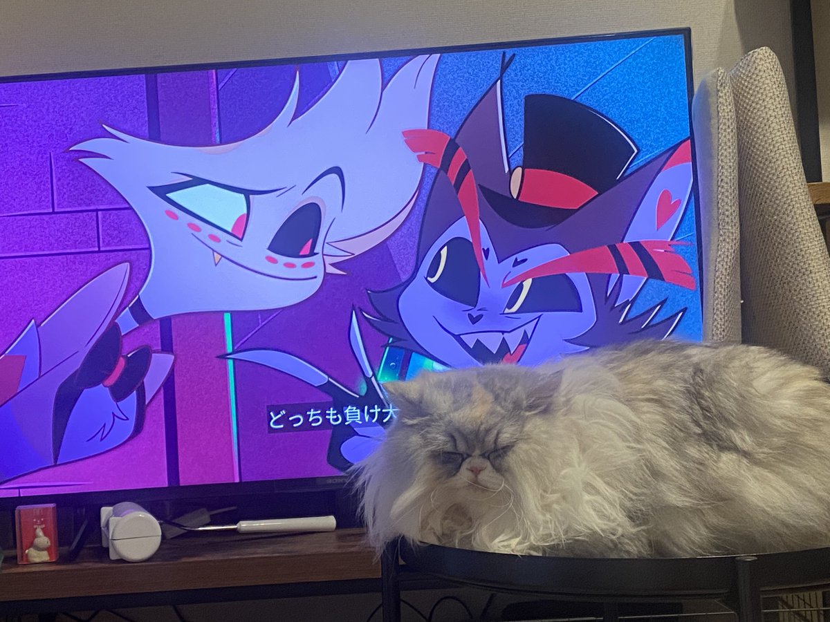 Odekobt's tweet photo. エンジェル&amp;ハスク&amp;テンチャン https://t.co/Qvq6OdhpDc