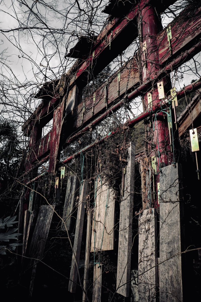 しどろ tweet media