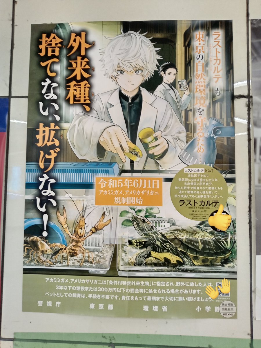 浅山わかび先生作品『ラストカルテ』全10巻 シュリンク未開封帯付初版1刷 浅山わかび@ラストカルテ🥼10巻 (@wakabi44) / X