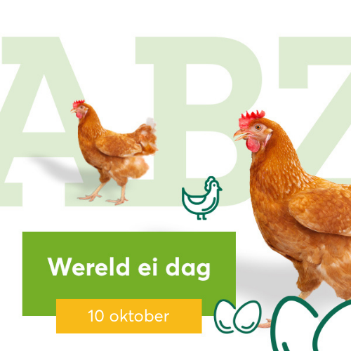 ★ Wereld Ei dag ★
Vandaag vieren we Wereld Ei Dag! 
Elke tweede vrijdag van oktober staan we stil bij dit veelzijdige product: voedzaam, smakelijk en onmisbaar in de keuken.

Een ei maakt het verschil!

#wereldeidag #trotsopdeboer #eihoorterbij