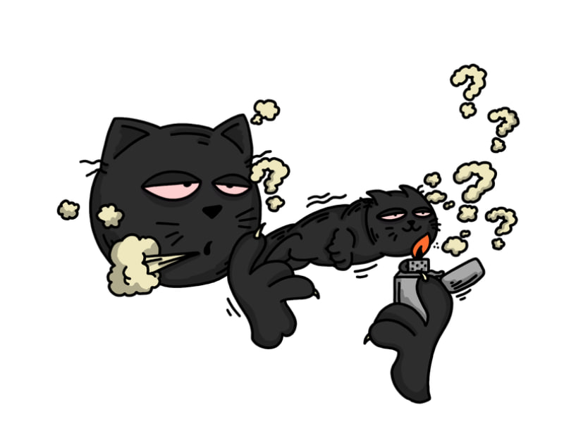 BUCKS CAT💵 tweet media