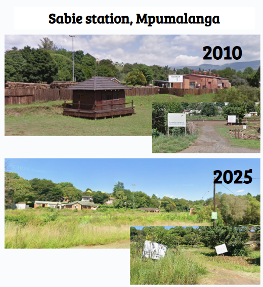 DecayDetectiveSA tweet media