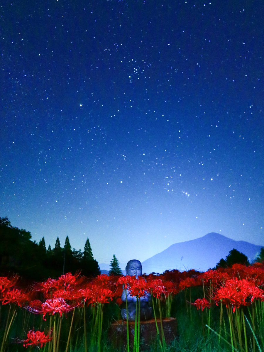 曼珠沙華が咲き始めたみたいです❗
📍長野県阿智村園原 信濃比叡さん周辺

今週末は【白蛇縁日】も開催されるのでおすすめ☺️

夜は星空も綺麗な場所

※写真は過去に撮影したものです。

 #長野県
 #阿智村
 #星空