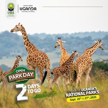 NanshemezaConn2's tweet photo. Just 2 days away.
Adventure is free, memories are priceless, and the wild is waiting for YOU 
#OpenParkDays2025 #ExploreUganda https://t.co/ibK3yO91hV