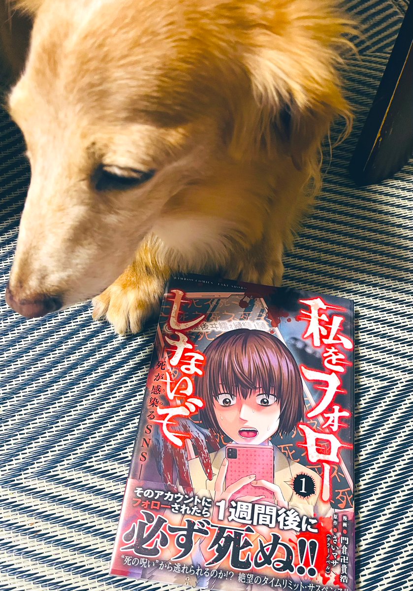 仲良くしている方の漫画が出版された❤️
めでてえなぁ！おい！

お化けが苦手なアチキは
電気をつけて寝ることになるがね( ˊ̱˂˃ˋ̱ )

心よりお祝い申しあげます。
うふん。

 #私をフォローしないで
