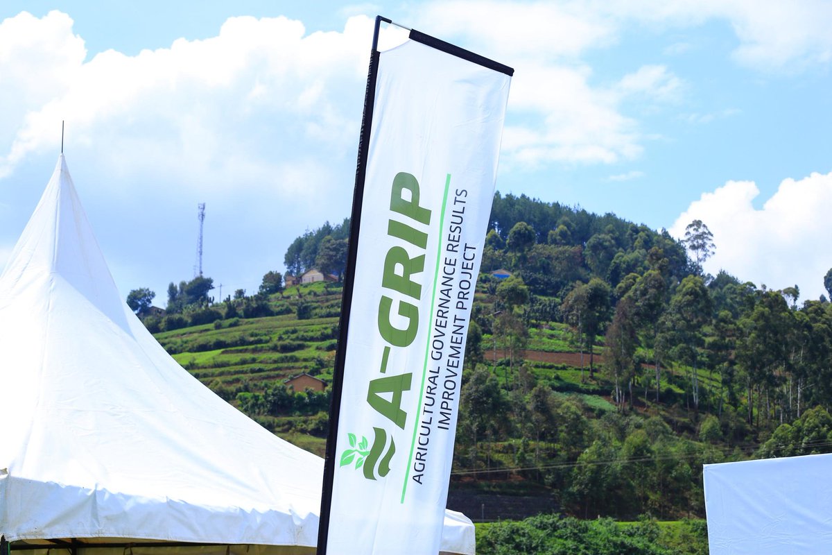 CordaidUganda's tweet photo. Happening now!
After two years of implementation, The A-GRIP project proudly launches the first ever issuing out of Certificates of Customery Land Ownership(CCOs) to small holder farmers in Muko sub county, Rubanda district.
#AGRIP #Cordaid https://t.co/AGX8ajzuX5
