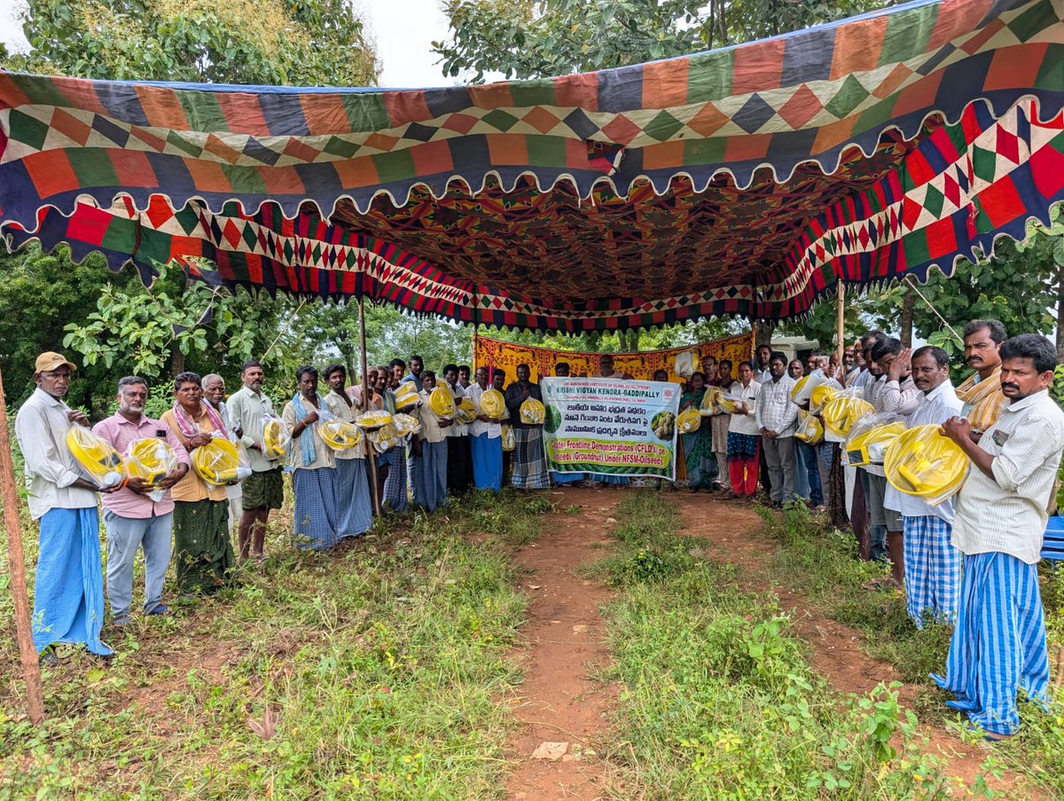 AurobindoKendra's tweet image. Organized a Training-cum-Input Distribution Programme under CFLD-Oilseeds on Groundnut Crop at Thummala Penphad of Atmakur (s), Suryapet
Date: 22-09-2025,
#sakvk #kvkgaddipally #trainingprogramme #inputdistribution