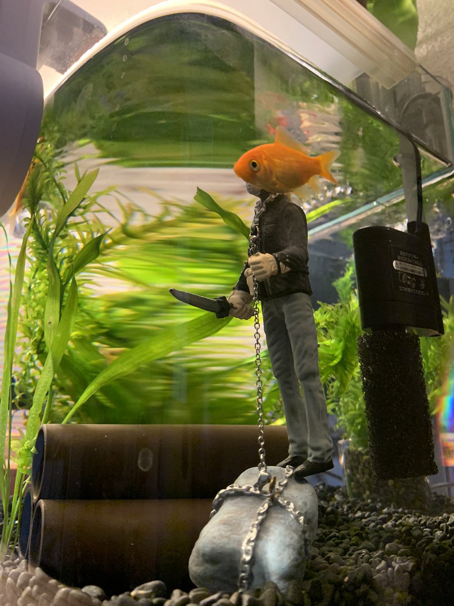 千研究所 (ちーラボ) tweet media