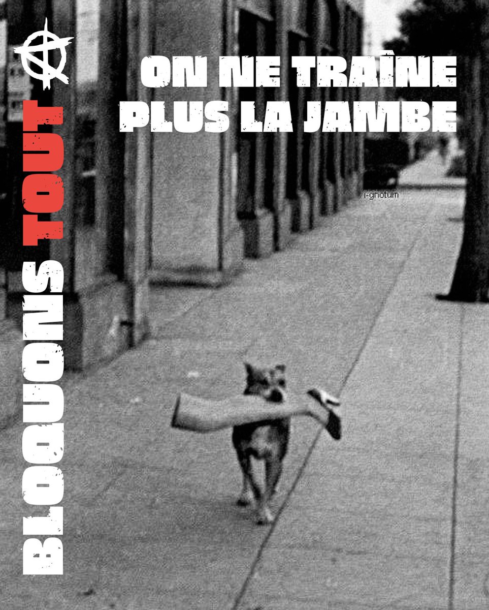 #BloquonsTout On ne traîne plus la jambe 😘✊🐈‍⬛🏴
#IndignonsNous #10septembre