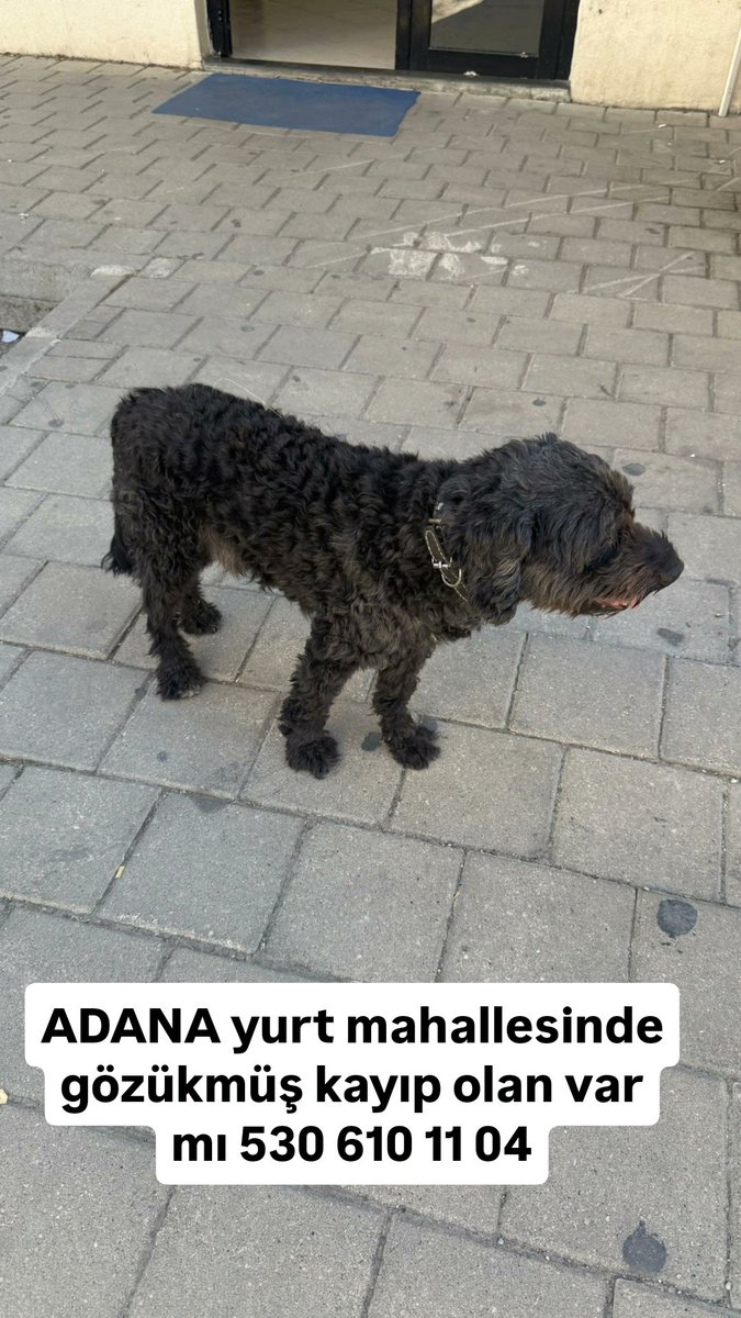 Bugra Kuki tweet media