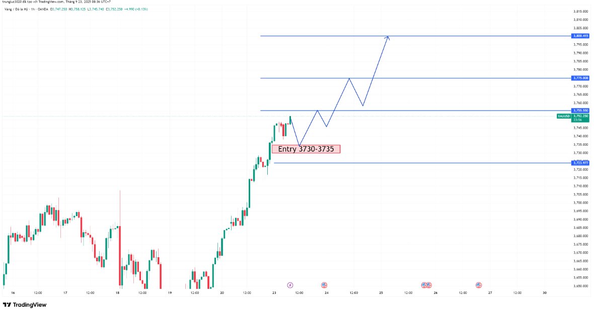 Exness Trading tweet media
