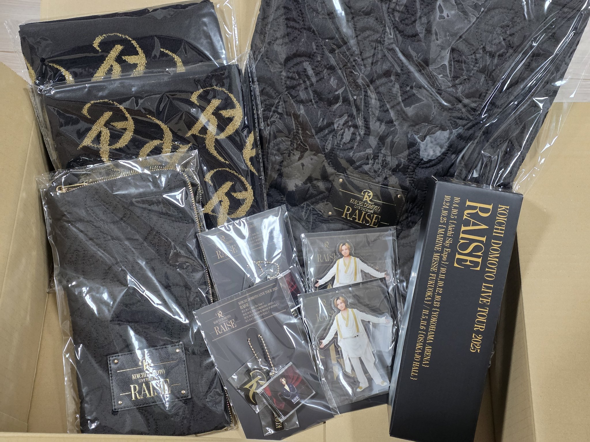 堂本光一RAISEツアーグッズ KOICHI DOMOTO RAISE CD チャーム堂本光一