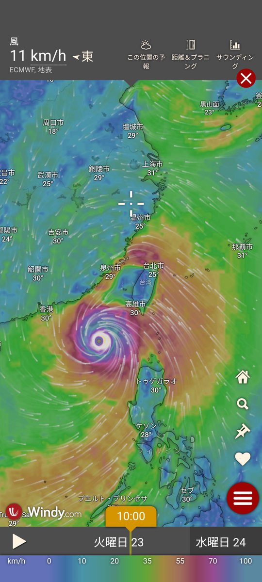 初海外採集、台湾上陸するもあいにくの雨。数日耐え忍んだ先に救いがあることを信じて…🥲
山になかなか行けないけど、その山々に護られているというジレンマ🌀
