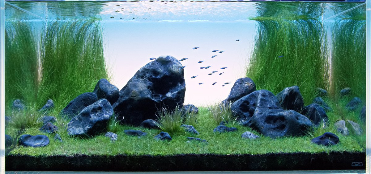 たそがれアクア tweet media