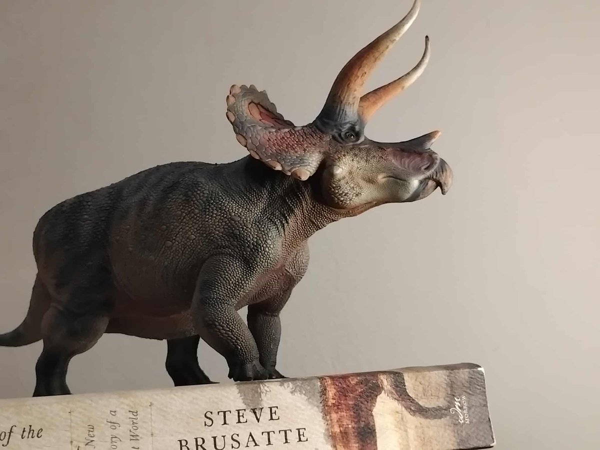 Got the Haolongood Triceratops today and I am very happy with it. It's huge and dense and well-researched, and is only ~30 USD. I highly recommend it.