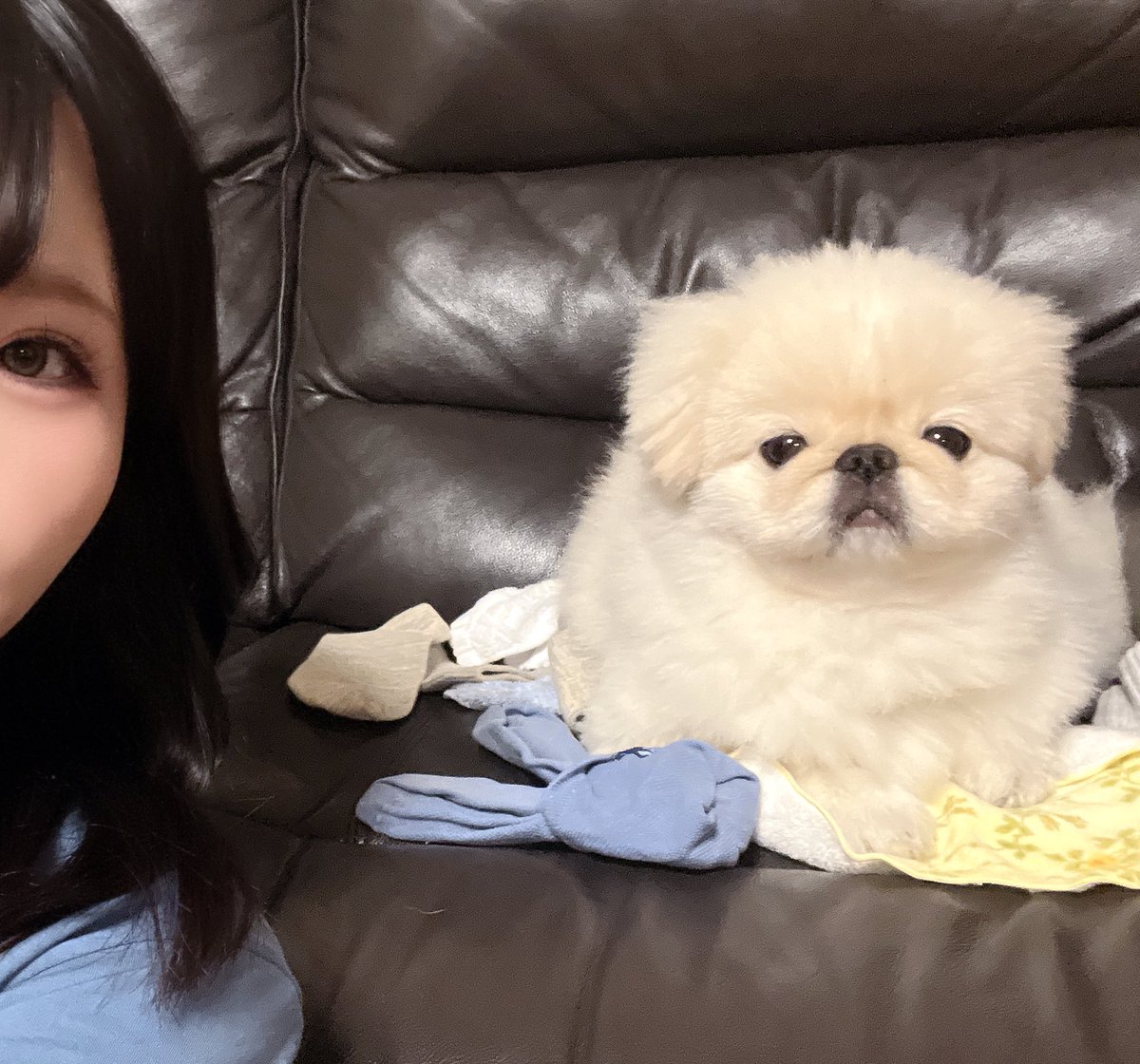 inugairu706's tweet photo. なんか今日ゥチら微妙な距離やね https://t.co/n72pgJIRSm