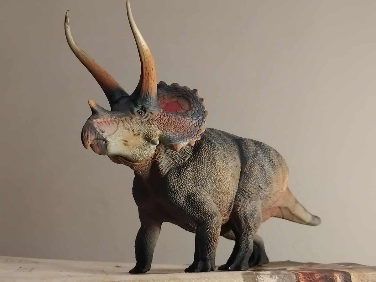 【新品未開封】TRICERATOPS/GOING TO THE MOON 新品未開封】TRICERATOPS/GOING TO THE MOON Amazon.co.jp