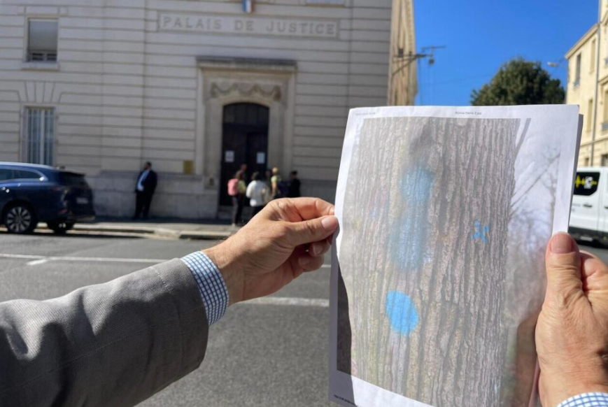 🔵🔴Forêt de Fontainebleau : ces faux ronds bleus qui ravivent le souvenir de l'affaire des éco-guerriers, 30 ans après actu.fr/ile-de-france/… via <a href="/actufr/">actu.fr</a>