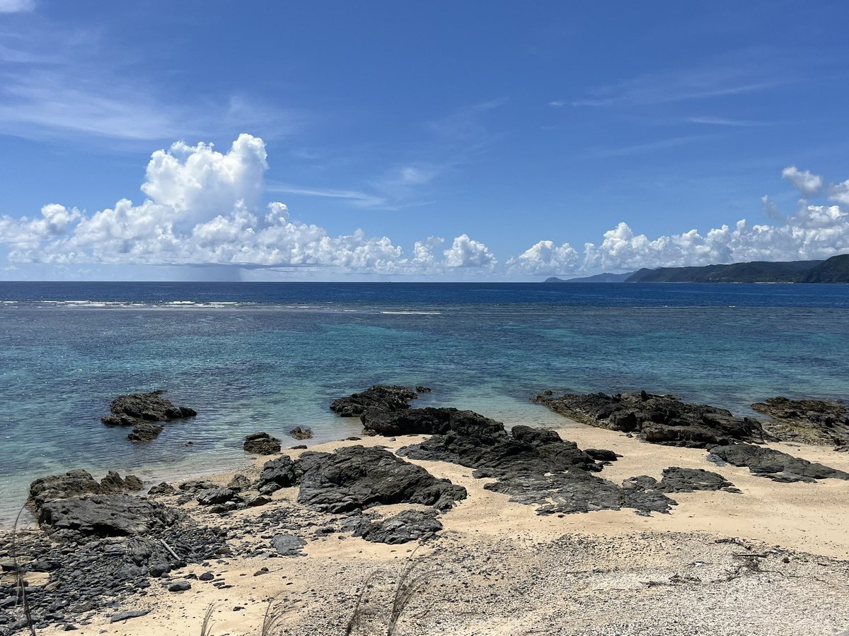 ponta_ss's tweet photo. えー奄美大島まで行って
買ってきたカレンダーが
なんと　2025？？え？
今年の？ショック
来年のだとばかり思ってた…
でも本当に素敵な奄美大島の旅でした

#2025カレンダー
#奄美大島に行った
#海がきれいすぎて
#満点の星空もみた
#流れ星
#海ガメと泳ぐ https://t.co/1hlF1eHCbe