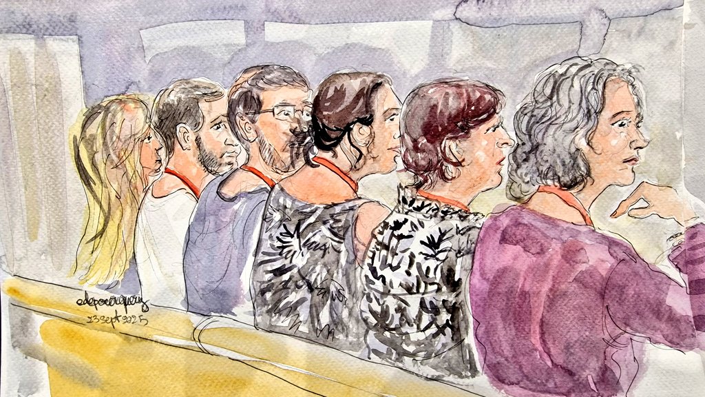 PourqueDe's tweet image. #partiesciviles #DelphineJubillar #dessin #Albi #justice #procès #CédricJubillar