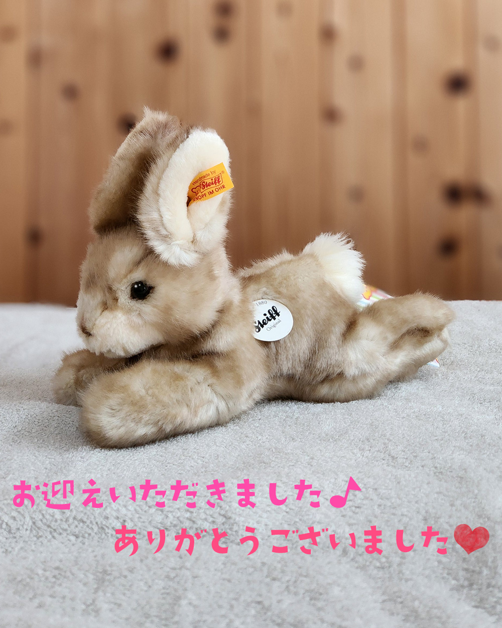 大得価，新作 シュタイフ うさぎのシュナッキー