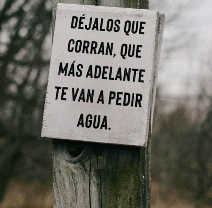 Alberto Estevez tweet media