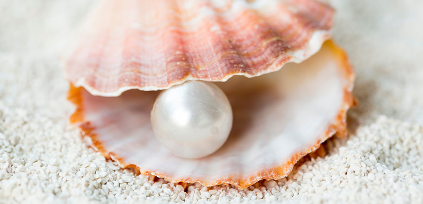 smart_dragon0's tweet image. سچے موتی