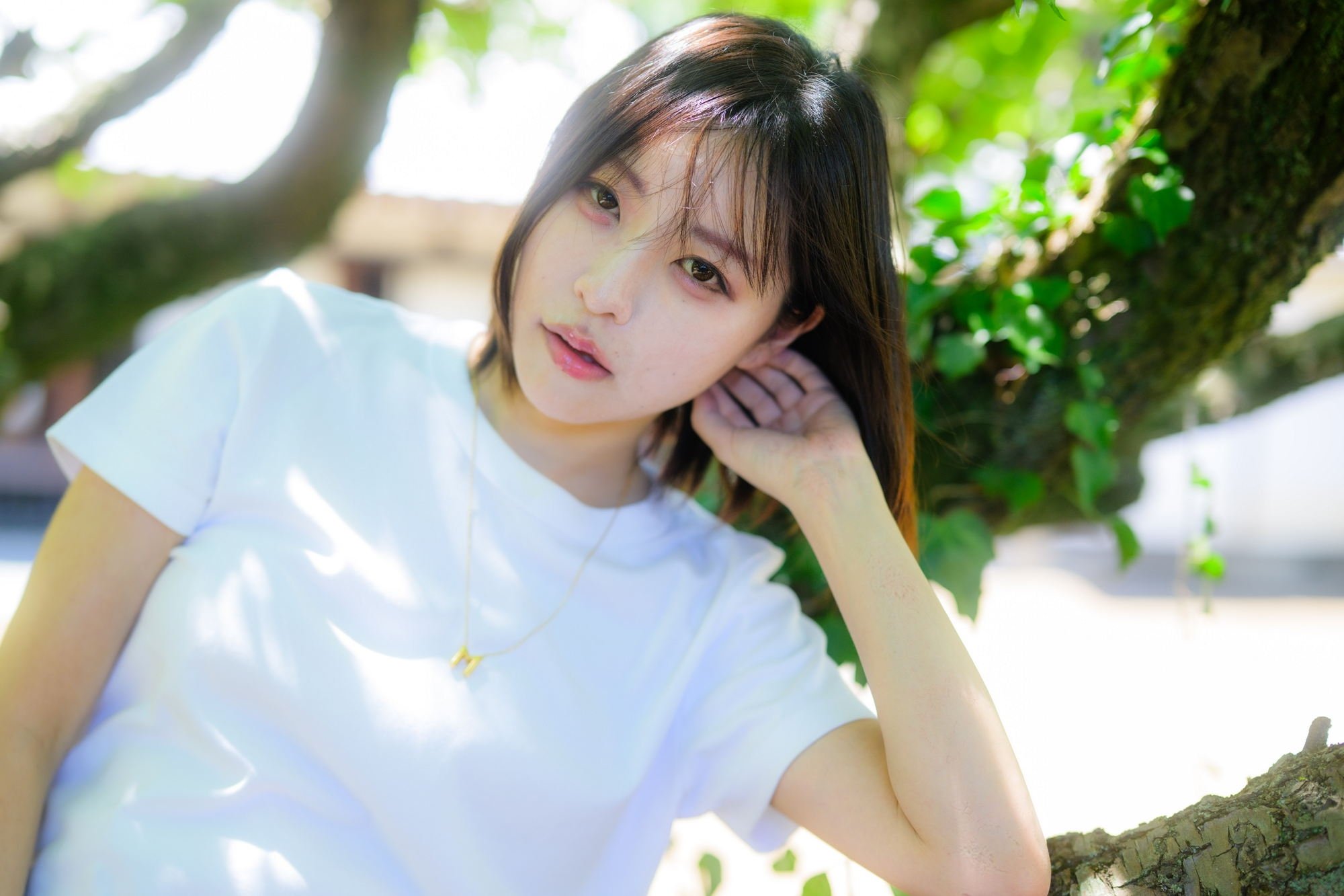 モモ•*¨*•.¸♬︎ページ 進藤もも🦋MoMo (@MoMo_photograph) / X