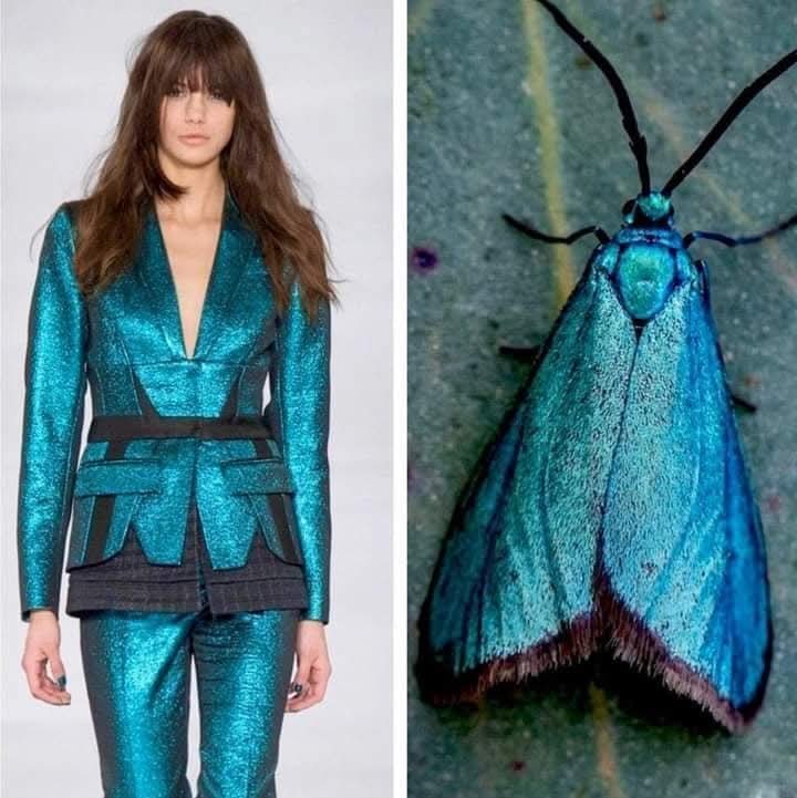 (Cianci Ulises) (@cianciulises) on Twitter photo 