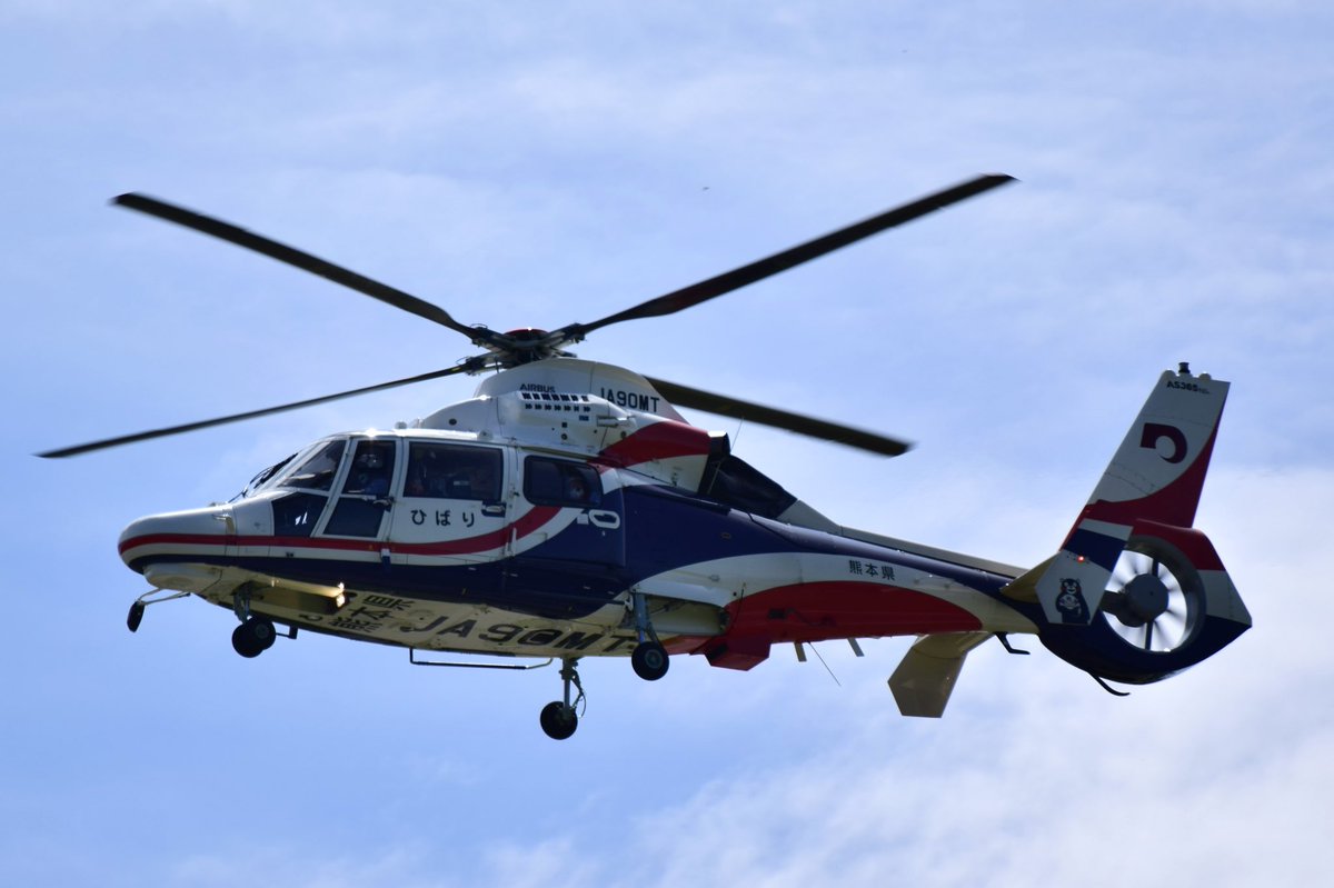 大豆柴 tweet media