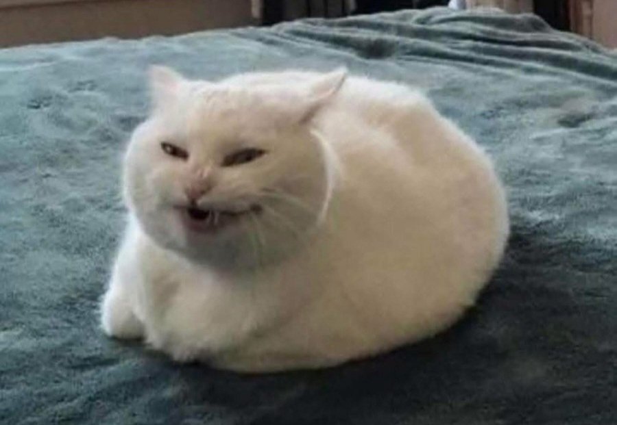MezzaTiziana's tweet photo. Non vi svelerò mai la ricetta della torta al limone... Ehhhh... Ahhhh 🤭🤭🤣🤣😂😂😂 https://t.co/Ws5MbqRBAL
