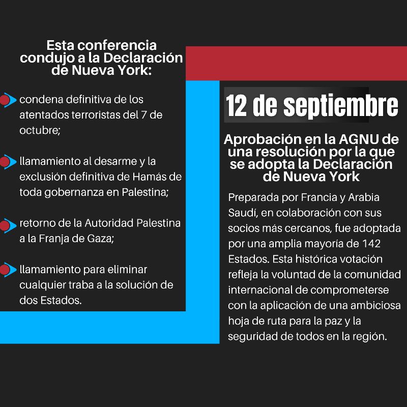 francediplo_ES's tweet photo. #AGNU80 | Francia reconoce al Estado de Palestina para abrir de nuevo la vía diplomática y preservar la solución de dos Estados, única solución justa y duradera para israelíes y palestinos. 👇

@EmmanuelMacron @franceonu