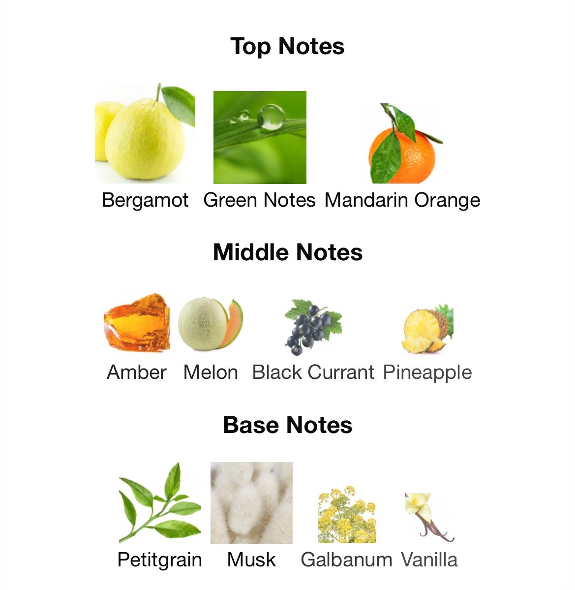 Al Haramain Dubai Night 
Al Haramain Aqua Dubai 

🏷️120k Each