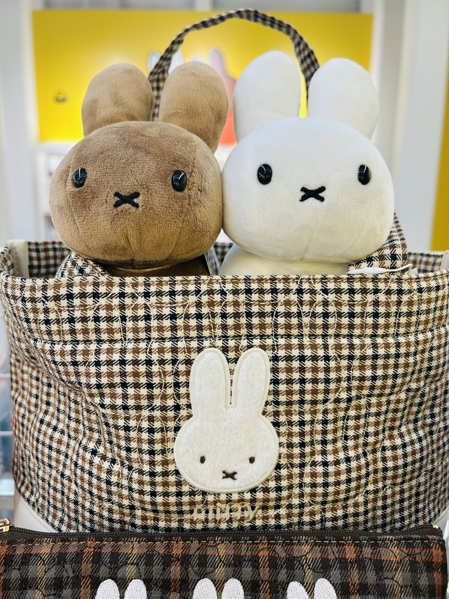 みっふぃー(23日) 日本のミッフィー情報サイト (@miffy_japan) / X