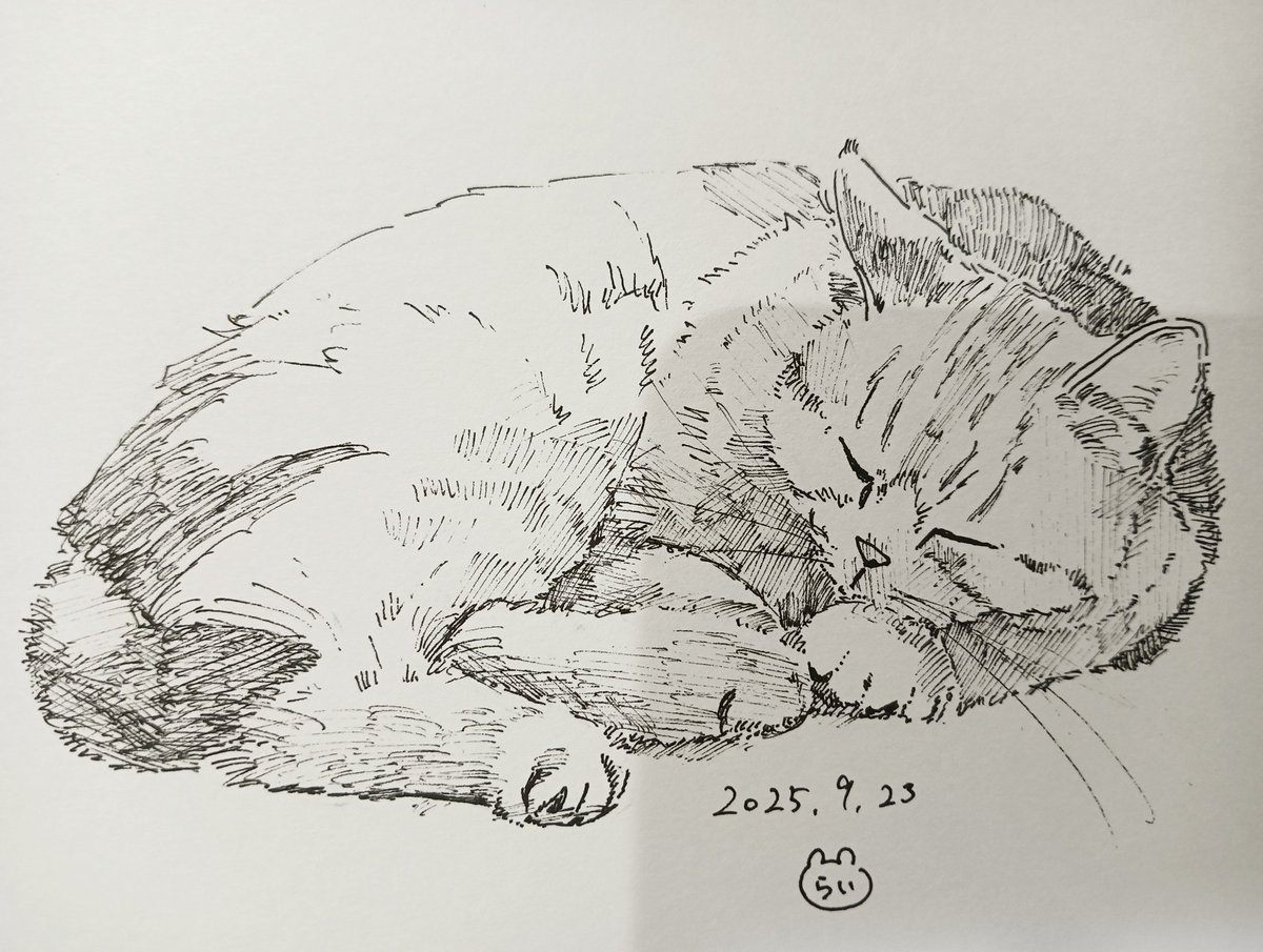 45.ぐうすか
#ペン画
#猫