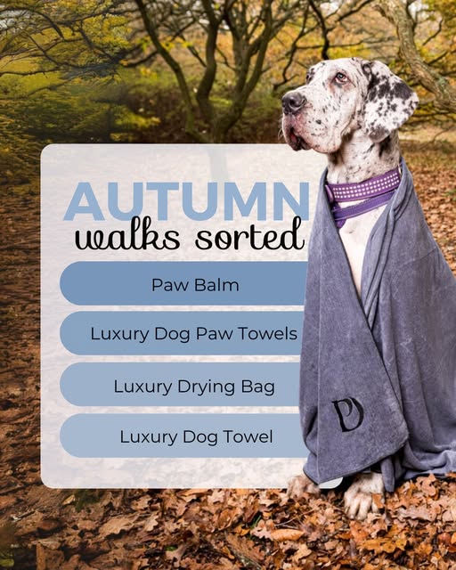 PawdawofLondon's tweet image. 🍂 Crisp walks, muddy paws, cozy nights… autumn is here! Keep your pup comfy &amp;amp; your home clean with Pawdaw essentials: Paw Balm, Towels, &amp;amp; Drying Bag 🐾 Which one’s your go-to this season? #DogLifeUK #MuddyPaws #PamperedPup #PawdawOfLondon