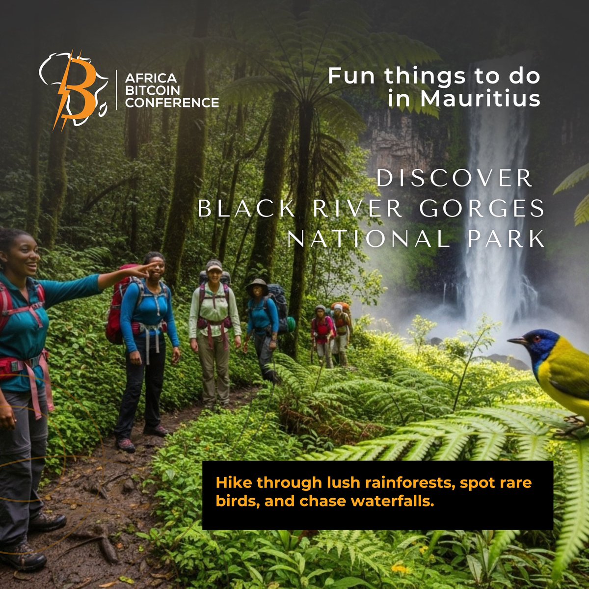 Africa ₿itcoin Conference (@afrobitcoinorg) on Twitter photo Breathtaking destination, experience the beautiful island of Mauritius at #ABC25! 🌍✨🌴
Join us at the Africa Bitcoin Conference this December and explore the breathtaking Black River Gorges National Park, hike through lush rainforests, spot rare birds, and chase waterfalls.💦 Breathtaking destination, experience the beautiful island of Mauritius at #ABC25! 🌍✨🌴
Join us at the Africa Bitcoin Conference this December and explore the breathtaking Black River Gorges National Park, hike through lush rainforests, spot rare birds, and chase waterfalls.💦