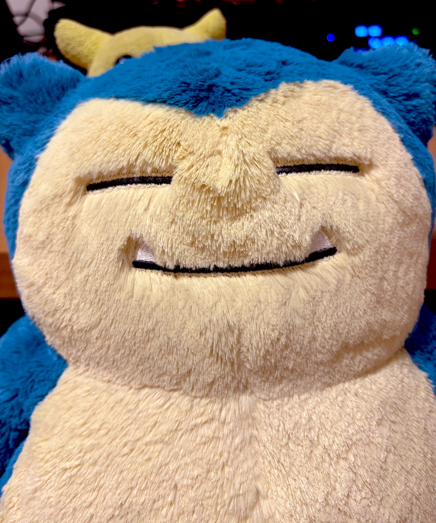 Kabigon【断捨離中】様　リクエスト ごん (@kabi_chobo) / X