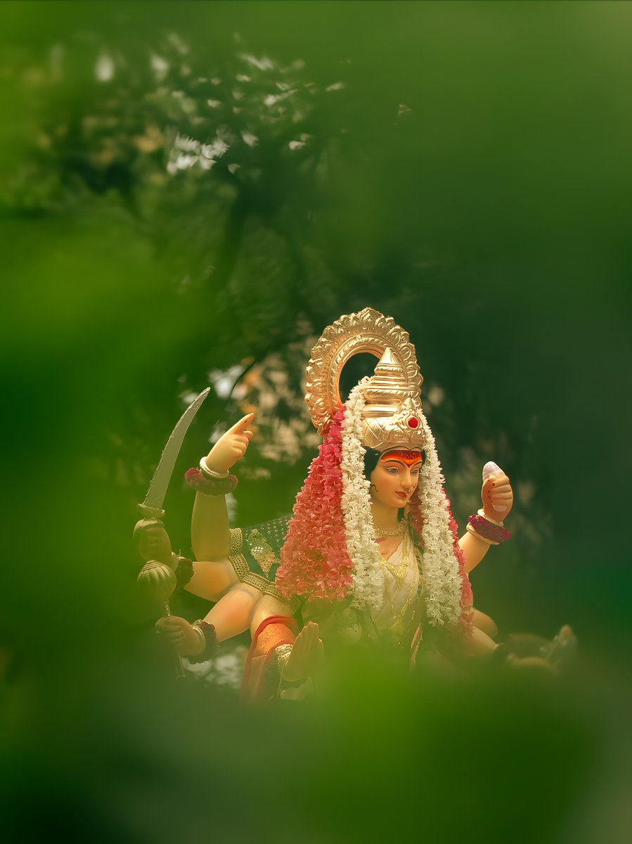 Photos I Took in Navratri.