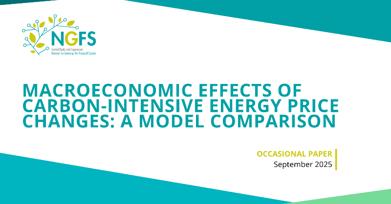 NGFS_'s tweet photo. 📊 How do different models examine the challenges posed by changes in carbon-intensive #energyprices for #monetarypolicy?

Find out more in the latest Occasional paper to be published by the @NGFS_ ⤵️