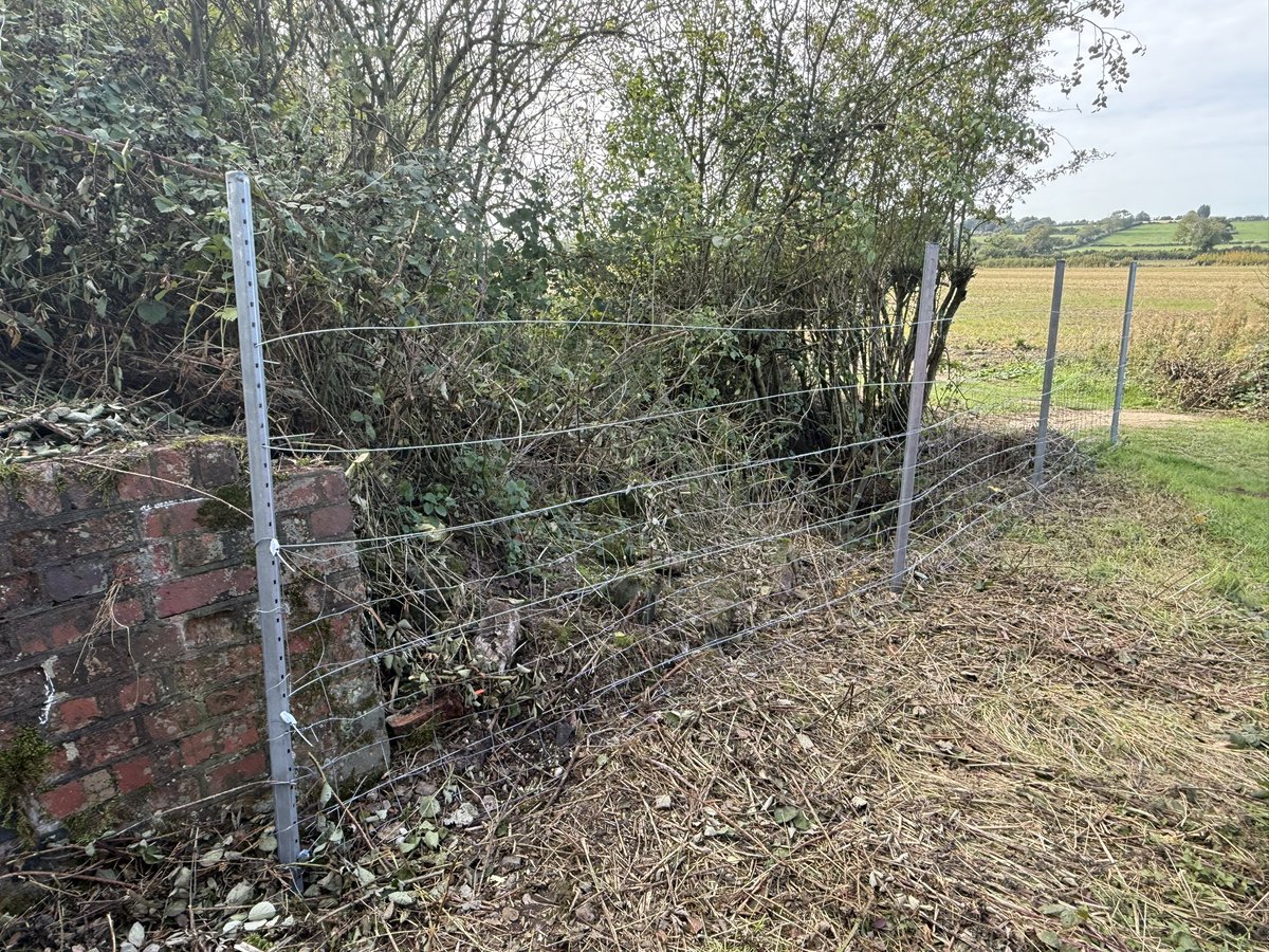 Ben Taylor-Davies tweet media