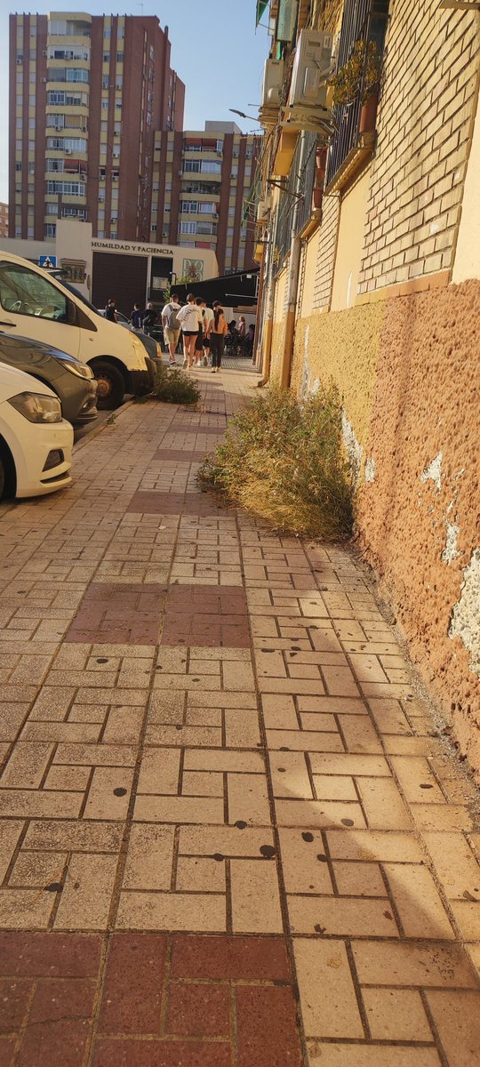 PRIMAEVATL's tweet photo. @LimasamOficial calle Agustín Martín Carrión, enfrente del instituto Romero Esteo. No se puede andar por la acera y se acumula mucha suciedad. Espero que se solucione pronto. Gracias https://t.co/99ATkdQikz