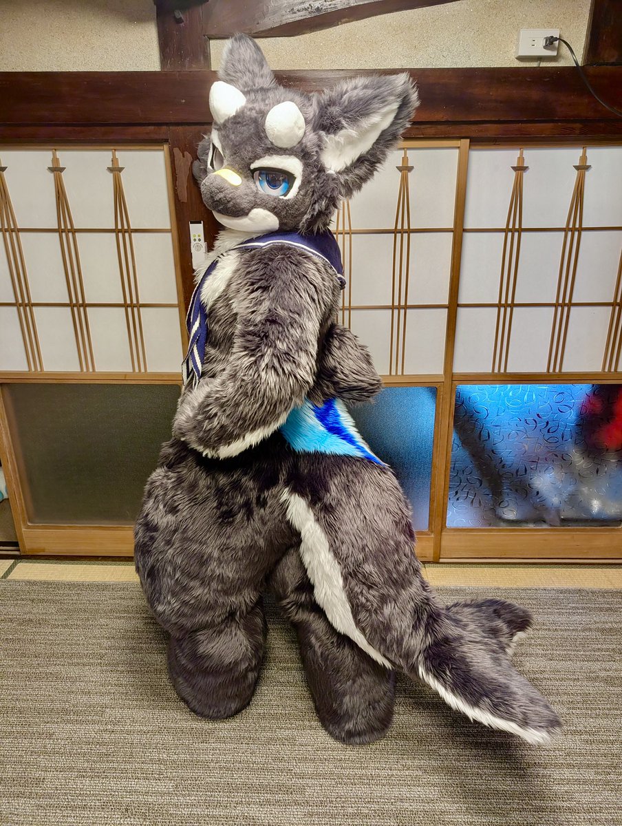 or_kemo's tweet image. しっぽいい感じ？