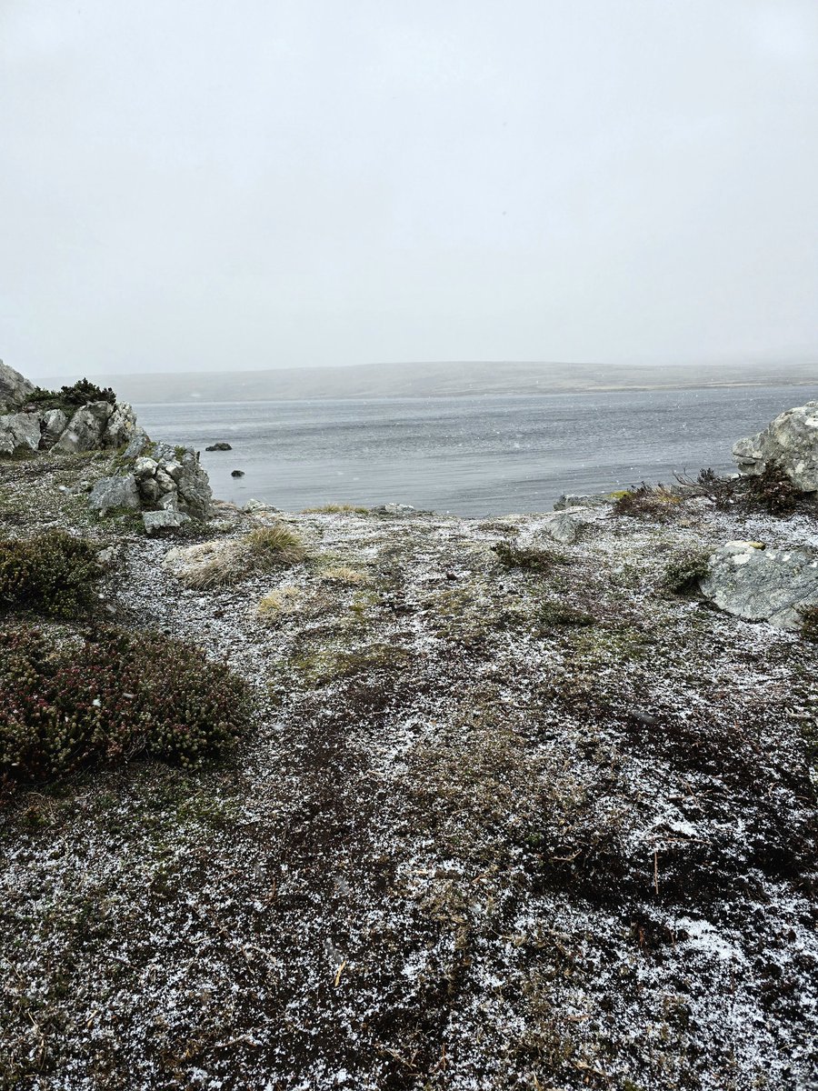 MALVINAS- CUATRO ESTACIONES EN UN DÍA

Salimos con sol. Moody Brook. De pronto el viento comenzó a azotar. Un trayecto más en los vehículos. El sitio donde estuvo la compañía comando. Más y más viento. Luego garrotillo (mezcla de lluvia y nieve, que cae acompañada de ráfagas de
