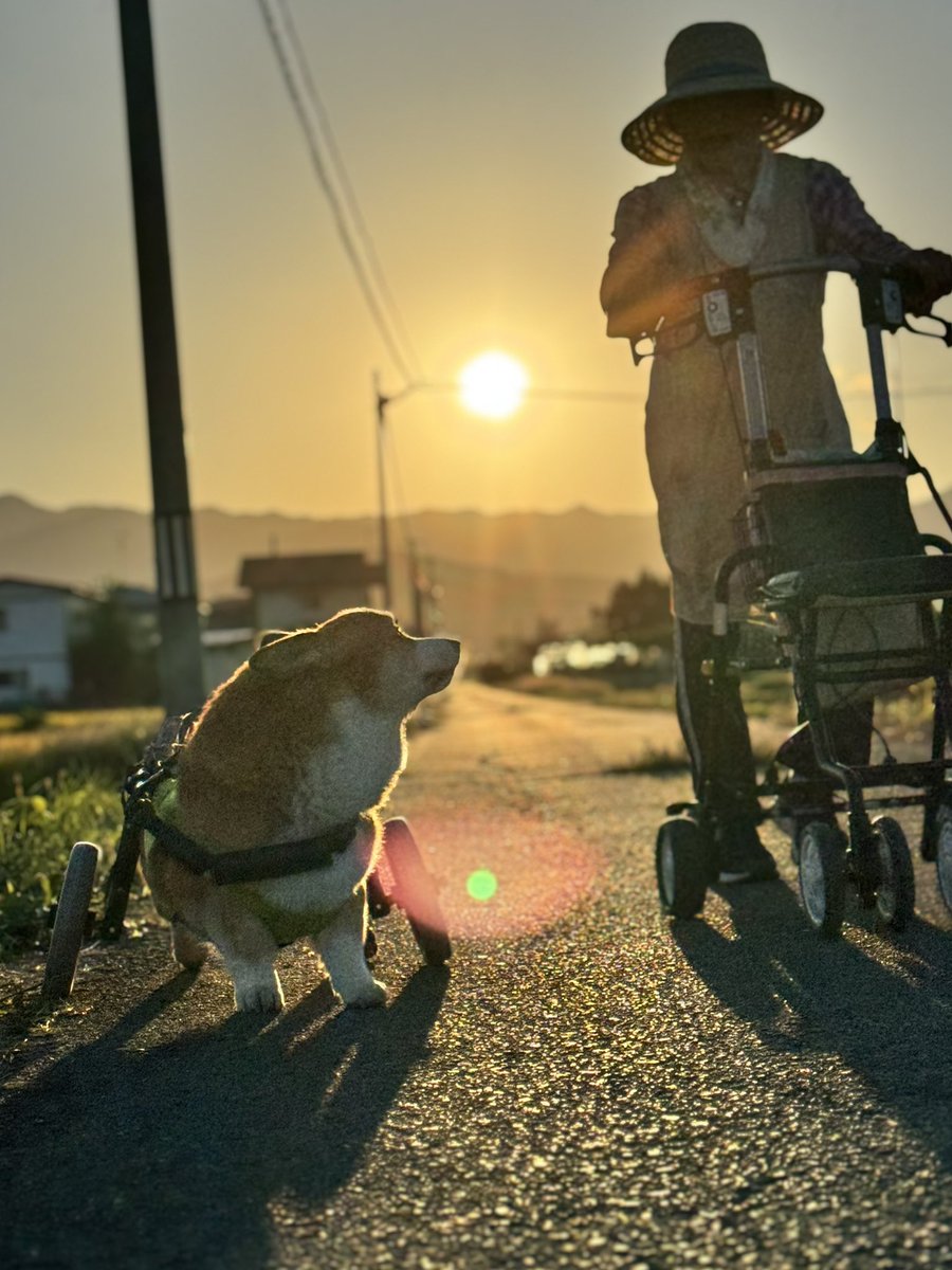 ばあちゃんと一緒